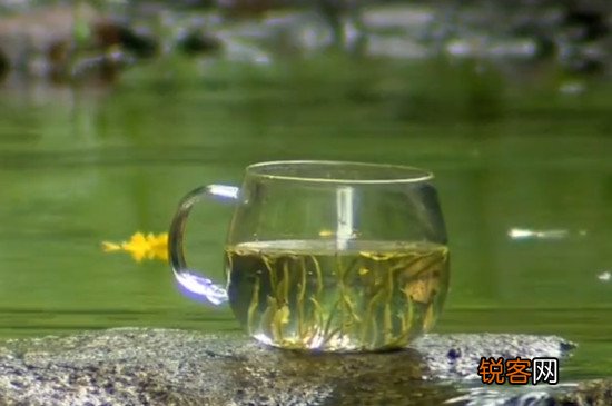 黄茶有哪些品种
