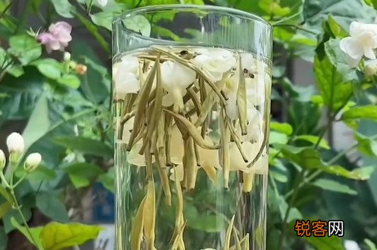 兰妃茶属于什么茶