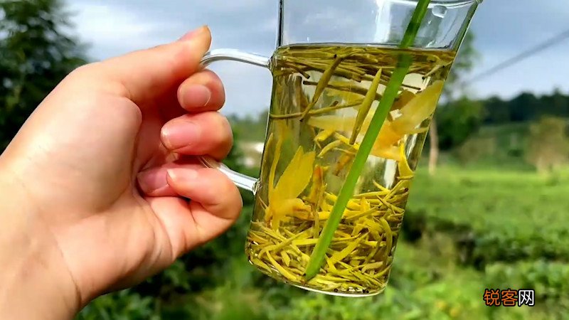踏雪兰妃茶属于什么茶