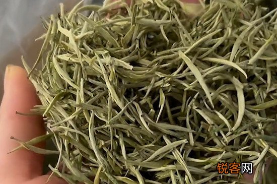 踏雪兰妃属于什么茶?