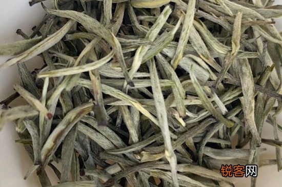 踏雪兰妃属于什么茶?