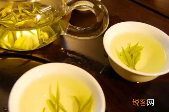 为什么黄茶喝的人少