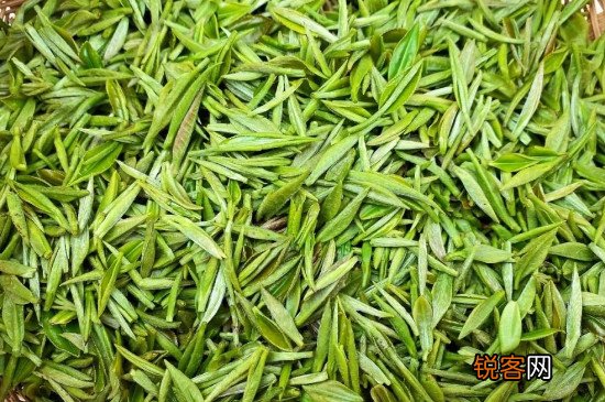 沩山毛尖属于什么茶