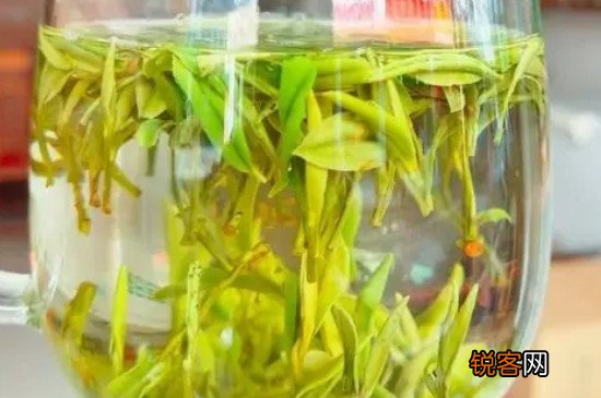 霍山黄芽是绿茶吗