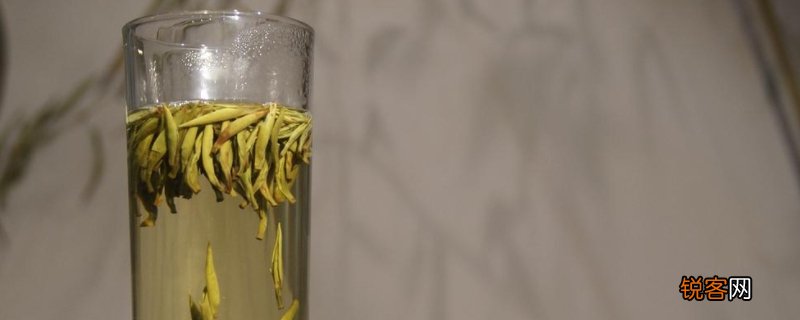 银针茶是喝当年的吗