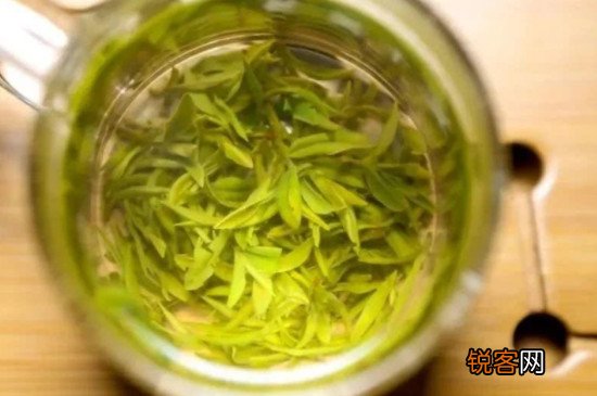 黄芽属于什么茶
