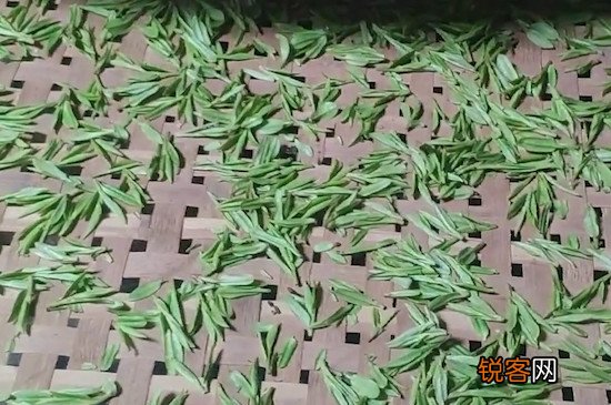 东方美人茶制作工艺流程