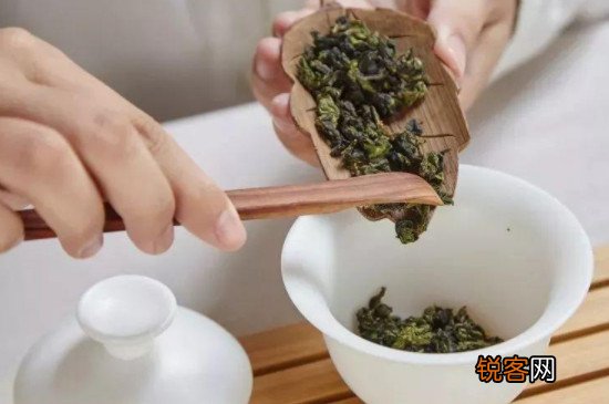 铁观音茶适合高冲吗