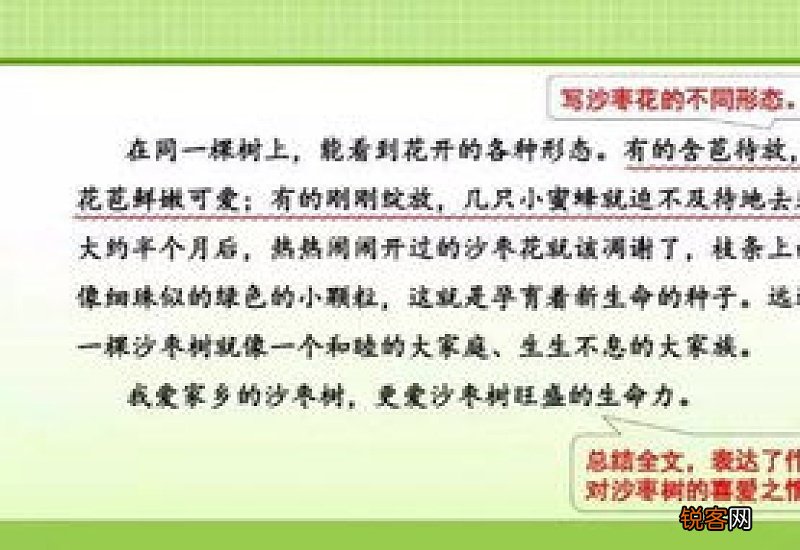 我们眼中的缤纷世界作文10篇