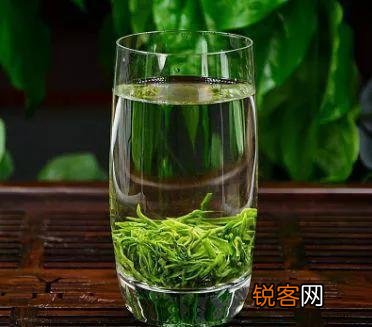毛尖怎么喝毛尖正确喝法 信阳毛尖绿茶的冲泡方式