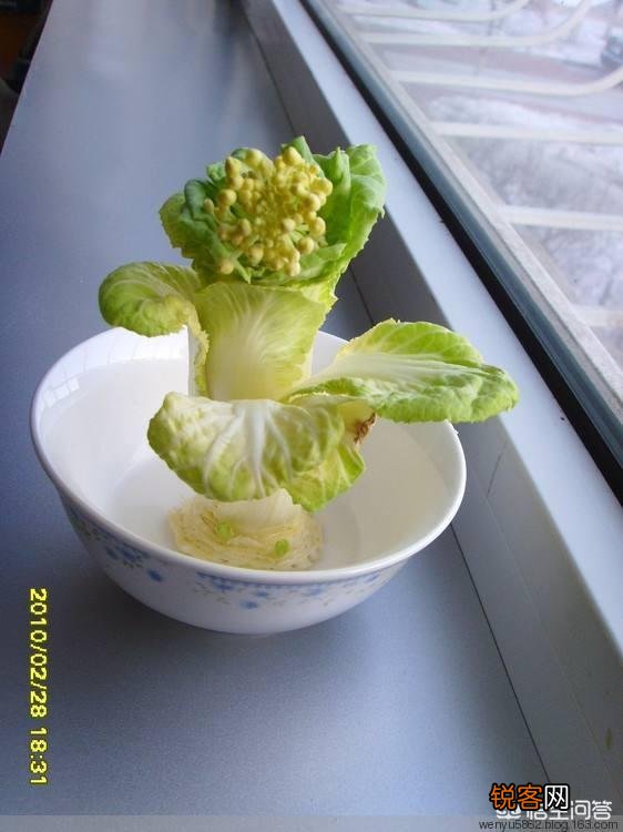 我是学汉语言文学的,看到自媒体上毫无文采、章法的文字竟有很高的推荐和收益,为啥？