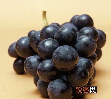 秋吃葡萄好处多