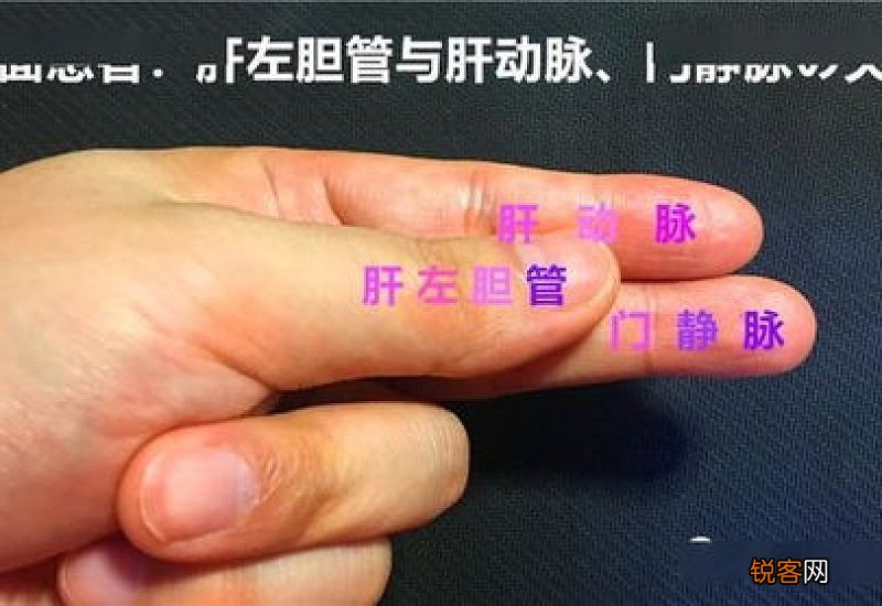 杨梅的食疗作用有哪些 杨梅有哪些美味吃法