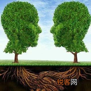 如何理解《致橡树》这首诗？