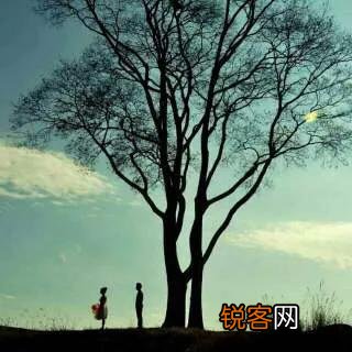 如何理解《致橡树》这首诗？