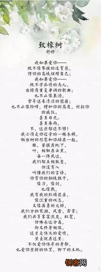 如何理解《致橡树》这首诗？