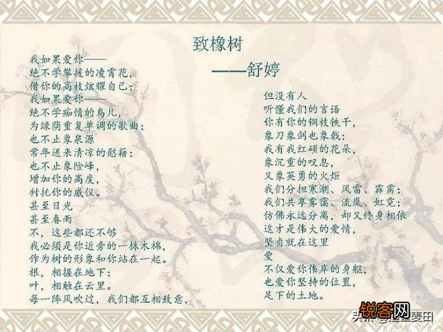 如何理解《致橡树》这首诗?