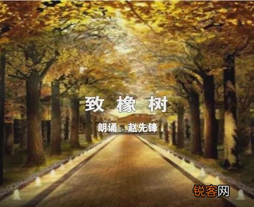 如何赏析《致橡树》？