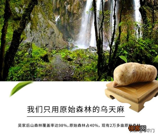 当两个品类一样,其中一个很出名,怎么策划文案？