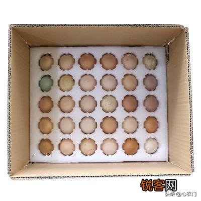 当两个品类一样,其中一个很出名,怎么策划文案？