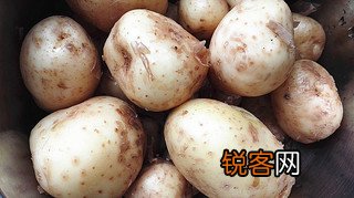 孜然小土豆