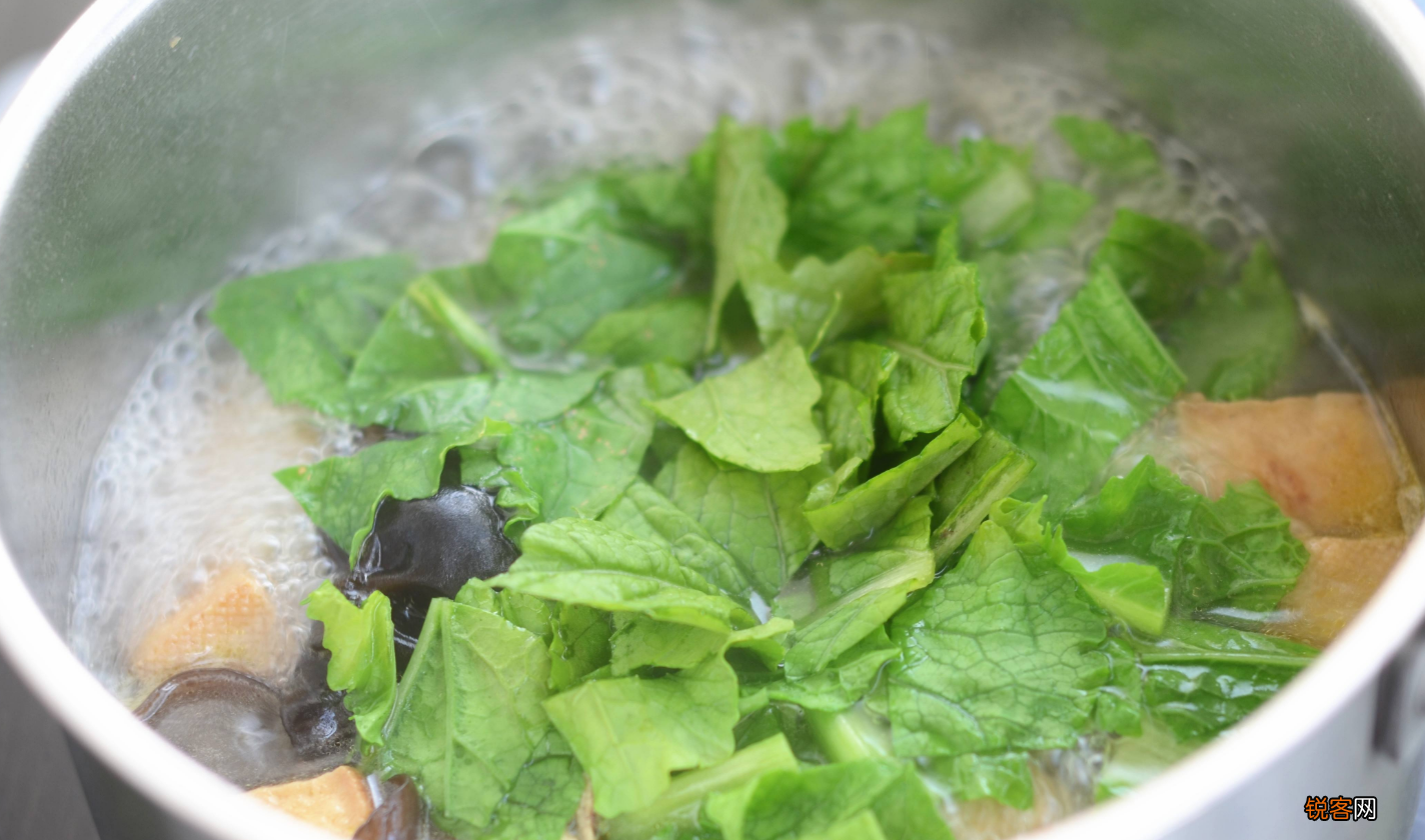 小白菜怎么做好吃 小白菜5种最好吃的做法