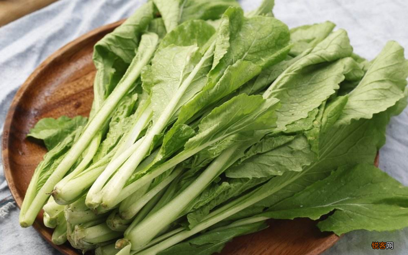 小白菜怎么做好吃 小白菜5种最好吃的做法