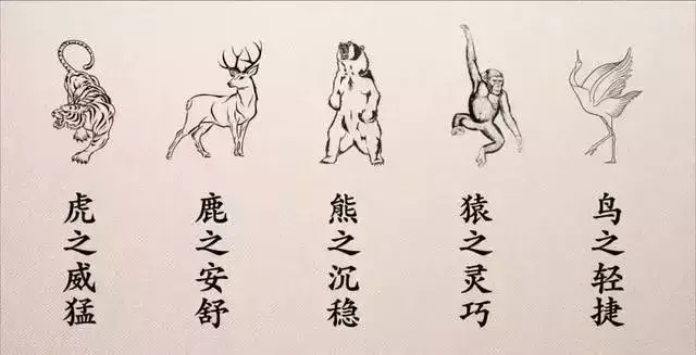 华佗五禽戏是什么 冬季锻炼养生的绝佳选择