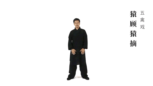华佗五禽戏是什么 冬季锻炼养生的绝佳选择