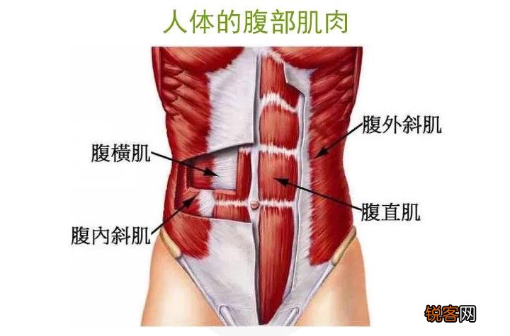怎么练出八块腹肌 比卷腹最难练细节，很多人不知道