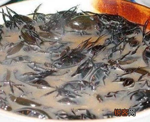 日本人爱吃的蟑螂汤 蟑螂也逃不过被吃的命运