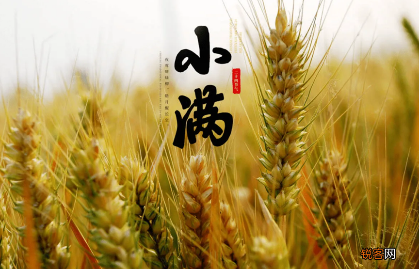 小满节气有啥讲究 小满节气饮食习俗