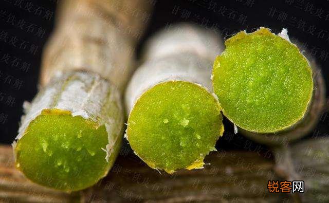 铁皮石斛泡酒喝的功效 为什么说喝铁皮石斛酒好