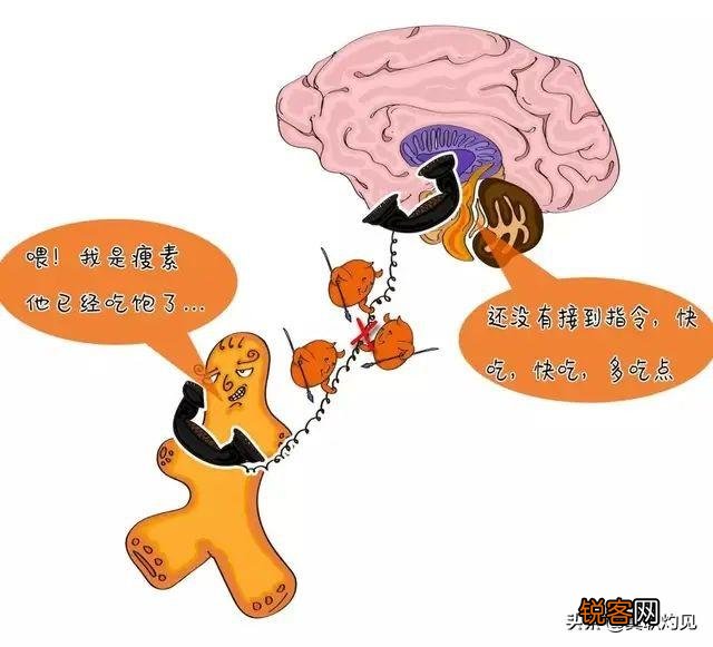 为什么自助餐大部分都是火锅和烤肉的形式？