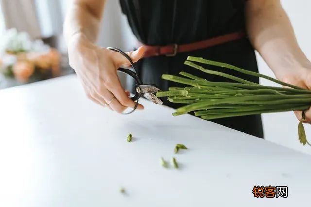 怎样延长插花的寿命 延长插花寿命的9个技巧