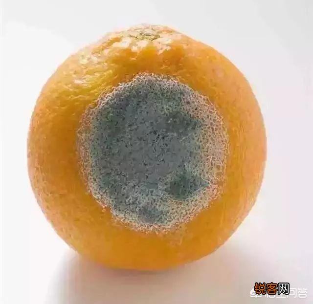 肝癌不痛不痒,出现2痣3少,要及时检查,别拖延！你知道是什么吗？