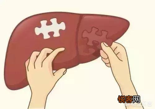 肝癌不痛不痒,出现2痣3少,要及时检查,别拖延！你知道是什么吗？
