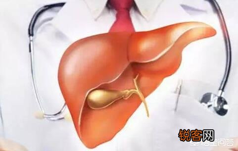 肝癌是酒“泡”出来的？提醒：早起有4个表现,快戒酒,查查肝,你知道是指什么吗？