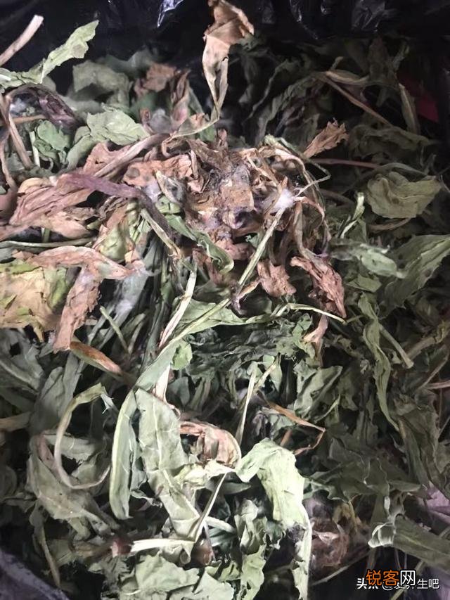 肝脏开始病变,会在身上长哪2种痣？在身体哪个部位？
