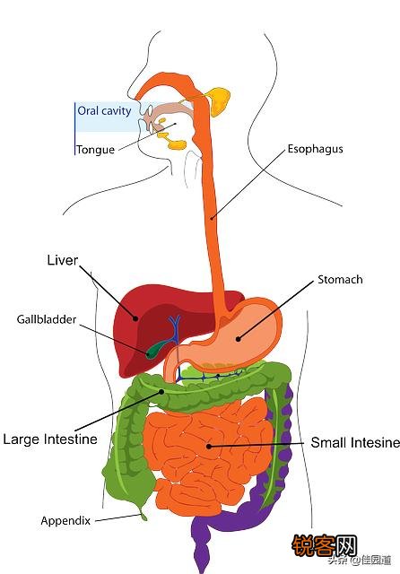 肝开始癌变时,脚底会有3个迹象,若一个不占,肝癌离你还很远！迹象是什么？