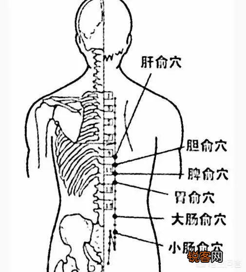有人说一旦“脸上”有这3种表现,十有八九是“肝毒”太深了,指的是什么？
