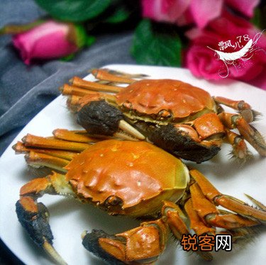 大闸蟹怎么吃味道最鲜美