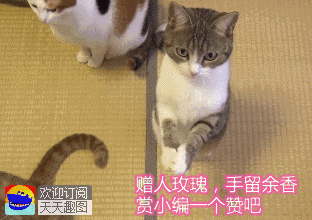 10万以下的suv哪个品牌好？