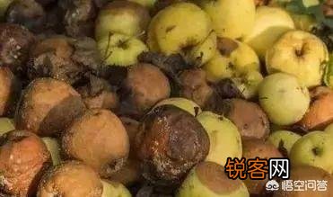 肝癌不是悄无声息,身体出现“2臭、3痛、4红”,已经提前通知。你知道是什么?