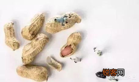 肝癌不是悄无声息,身体出现“2臭、3痛、4红”,已经提前通知。你知道是什么？