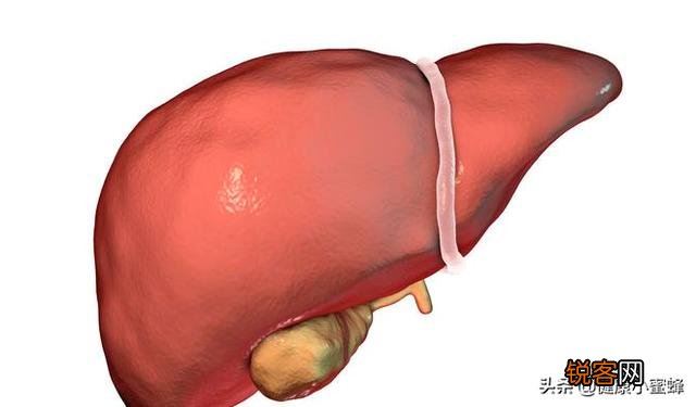 肝癌来临前,有人说会出现“1臭”,2“痛”,3“红”,是指什么？