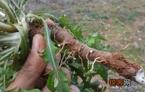 肝癌来临前,有人说会出现“1臭”,2“痛”,3“红”,是指什么？