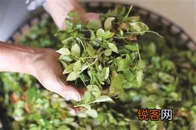 乌饭是什么 乌饭的做法