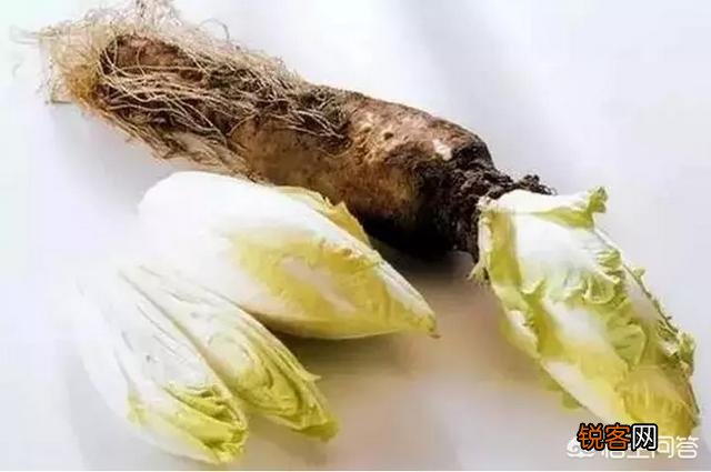 身上有小红痣,千万别大意,是大病的预警信号吗？