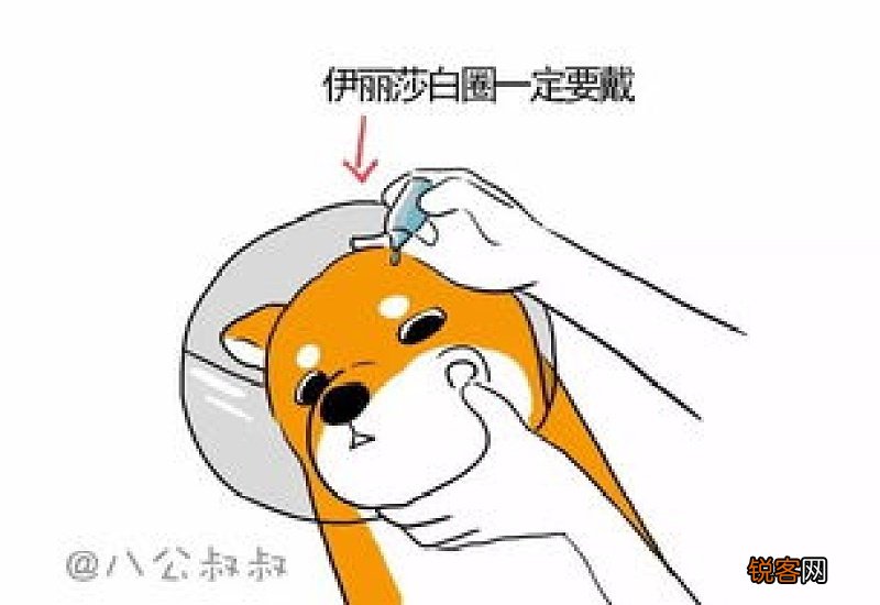 狗突然脾气暴躁易怒